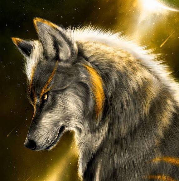 Meet your Posher, Joshua - Picture 1 of 1